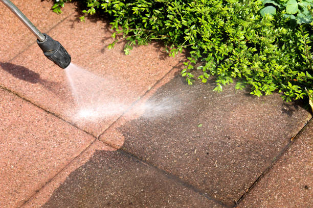 Best House Pressure Washing  in Buckner, MO